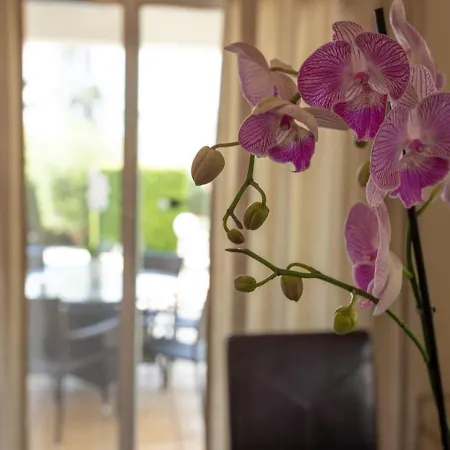 Thalassia Holiday home *